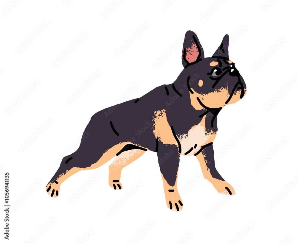 Obraz premium Amusing French Bulldog with curious muzzle looks at smth side view. Playful dog with black fawn color. Funny puppy of little breed. Cute pet, animal has fun. Flat isolated vector illustration on white