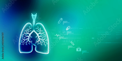 2d illustration Healthy Human Lungs 
 photo