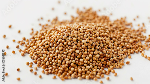 Amaranth Seeds isolated on pure white background