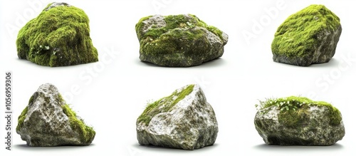 Collection of Moss Covered Rocks