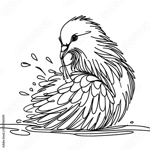 Beautiful closeup pigeon washes its feathers one continuous line vector illustration isolated on white background photo