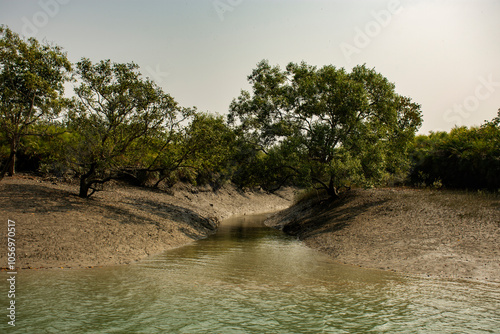 Scenic Landscape of Sundarban Tiger Reserve, India - Serene Mangrove Forests and Rivers photo