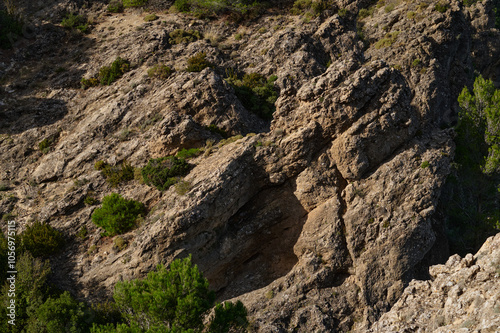 Natural rugged rock formation with green shrubs and bushes