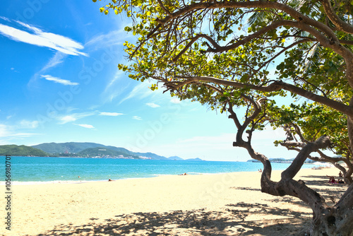 Nha Trang city, Vietnam - October 29, 2024 : Overlooking the beautiful coast of Nha Trang with palm trees on the beach with deck chair and parasol. Beautiful white sand tropical beach in coastal city.