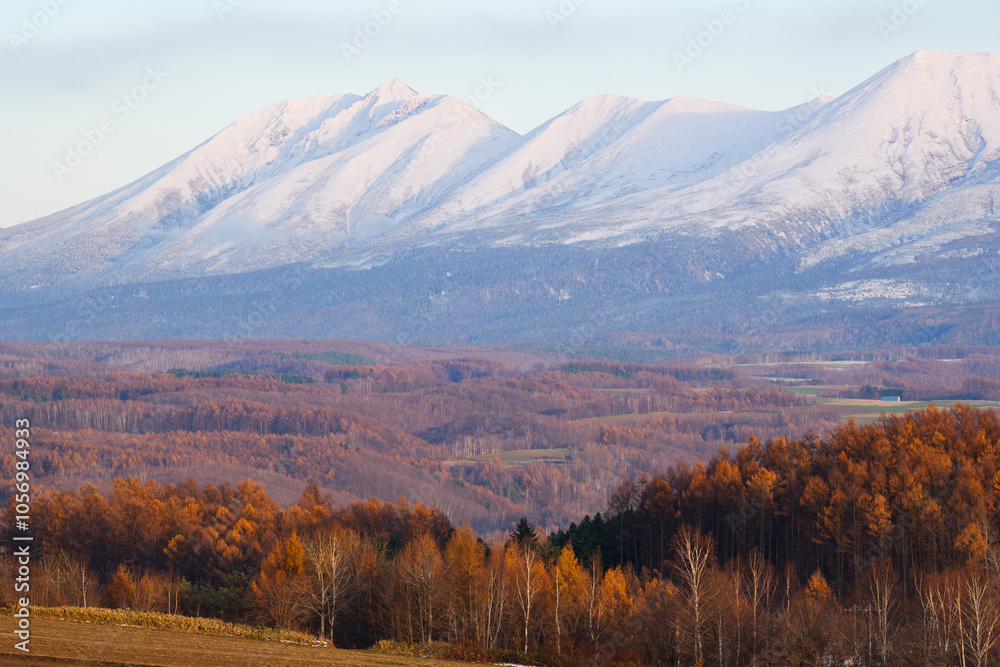 秋の夕暮れの十勝岳と紅葉風景