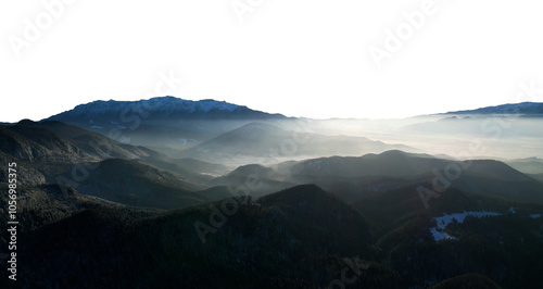 Panoramic Mountains with snow and forest isolated on white background 