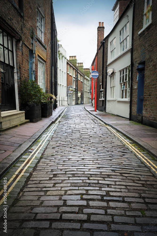 Fototapeta premium street in the town