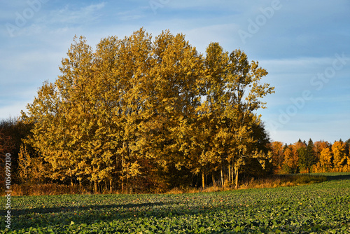 Autumn landscapes in Warmia Poland