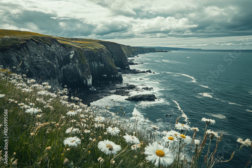 Dramatic coastal cliffs and wildflowers under stormy skies photo