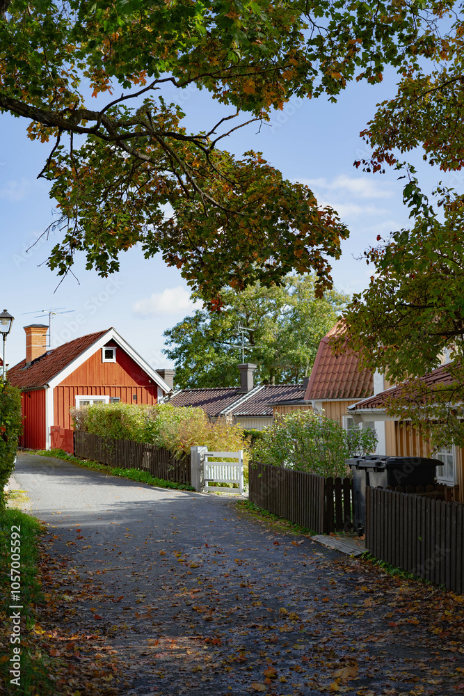 cozy neighborhood with nature and traditional houses