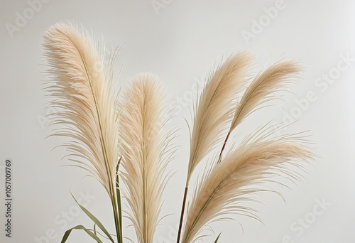 Minimalist Pampas Grass Arrangement on Soft White Background