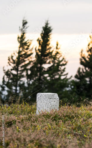 Pańska Góra (Panský kopec) is a hill in Orlické Mountains. photo