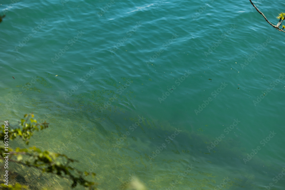 superficie d'acqua, color verde smeraldo, di un fiume, con vista sul profondo fondale, durante il giorno superficie d'acqua, color verde smeraldo, di un fiume, con vista sul profondo fondale, durante il giorno