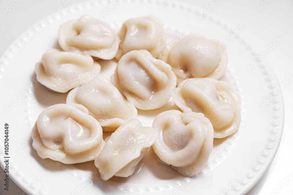 Boiled dumplings are arranged in a circle on a white plate. The plate with dumplings is set against a light background, creating a simple and appetizing composition. Boiled dumplings are arranged in a circle on a white plate. The plate with dumplings is set against a light background, creating a simple and appetizing composition.