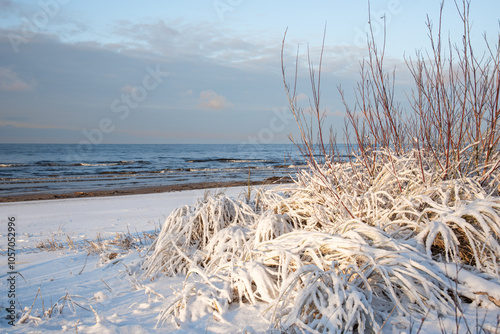 Fototapeta Naklejka Na Ścianę i Meble -  Baltic sea shore covered with snow at Winter in Latvia