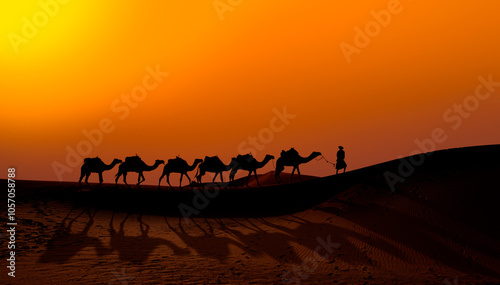 Camel caravan in the desert at sunrise - Sahara, Morrocco