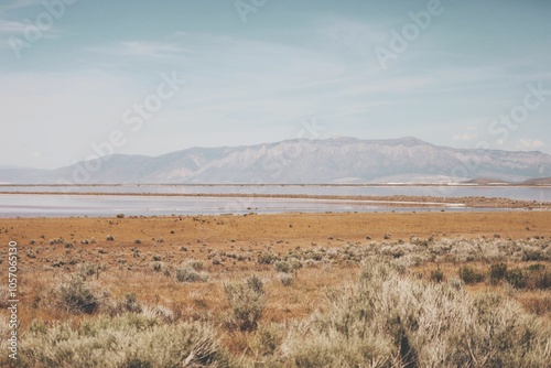 Distant view of mountains and landscape