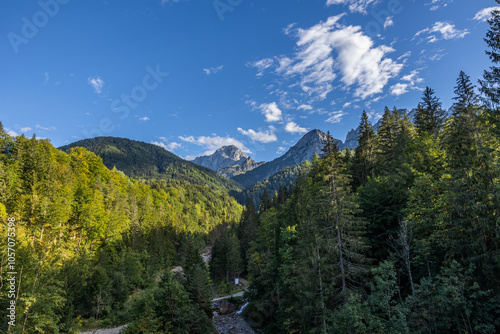 vista panoramica su un bellissimo e vasto ambiente di montagna nel nord Italia, con alte catene montuose, coperte da grandi ed antichi boschi verdi, sotto un cielo sereno, al tramonto, in estate photo