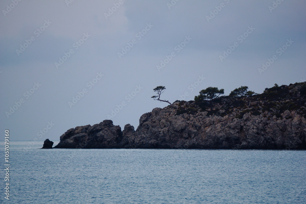 a stone island in the sea. Curved tree on sea rocks a stone island in the sea. Curved tree on sea rocks