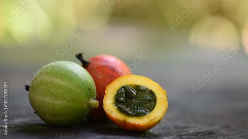 Gymnopetalum integrifolium (Roxb.) Kurz fruits on natural background. photo