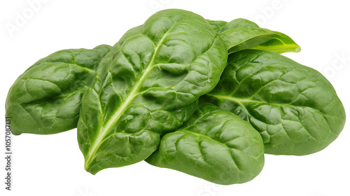 Fresh spinach leaves on white background