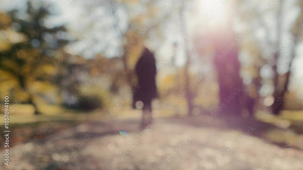 Blurred background of a woman walking in the park on a sunny autumn day Blurred background of a woman walking in the park on a sunny autumn day