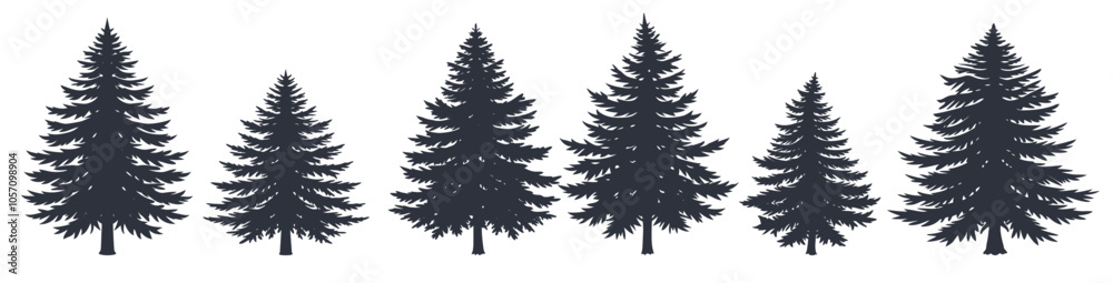 Set of coniferous evergreen fir trees silhouettes Set of coniferous evergreen fir trees silhouettes