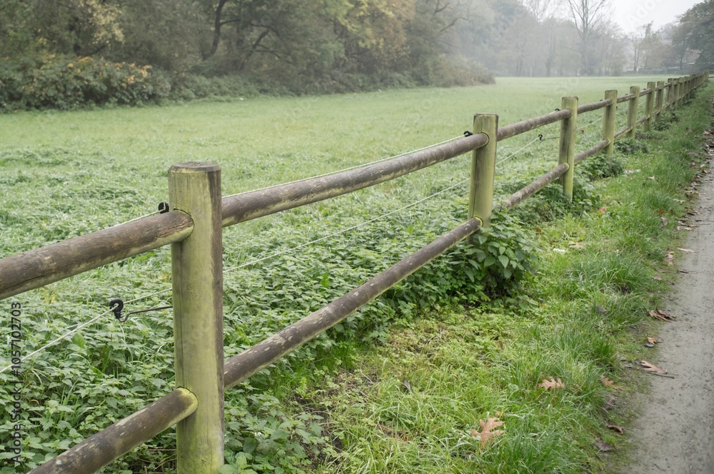 Wooden fence separating grassy field and path in foggy park Wooden fence separating grassy field and path in foggy park