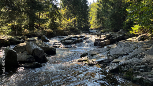 A small mountain river with a flow of water in the Polish mountains. Eastern Sudetes
