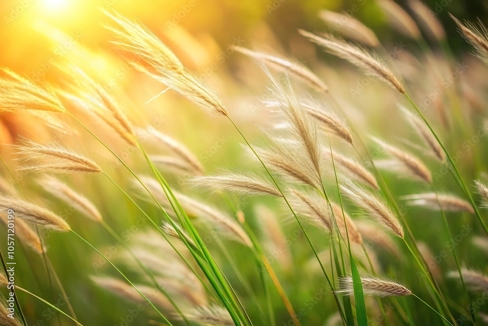 Softly swaying blades of grass with a gentle texture and delicate ridges, stem, greenery, leafy greens, blade Softly swaying blades of grass with a gentle texture and delicate ridges, stem, greenery, leafy greens, blade