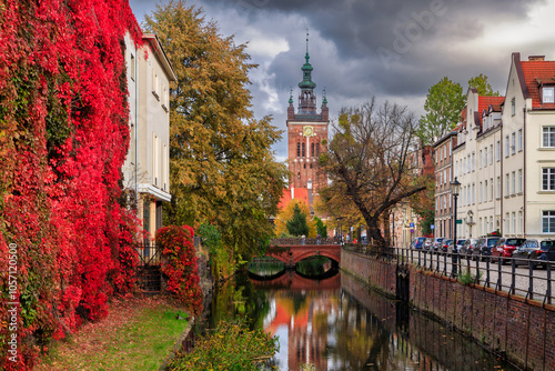 Autumn landscape of Gdansk with a wall covered with red ivy leaves. Poland