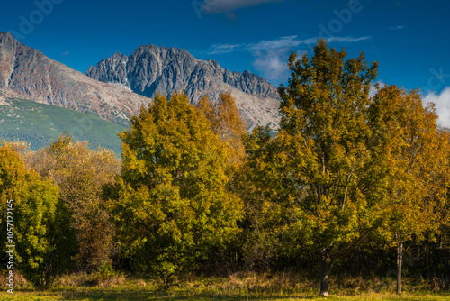 Fototapeta Naklejka Na Ścianę i Meble -  Picturesque Autumn Scene of Vibrant Trees and Tatras Mountains at Fall