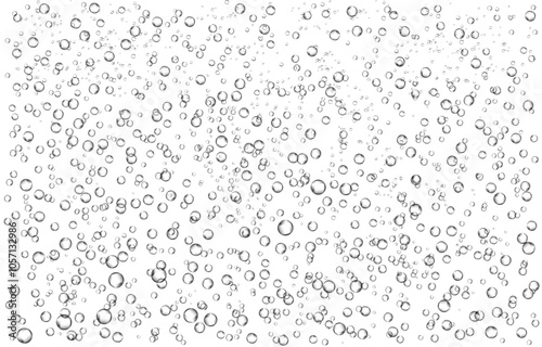 Oxygen air bubbles  flow  in water on white  background.