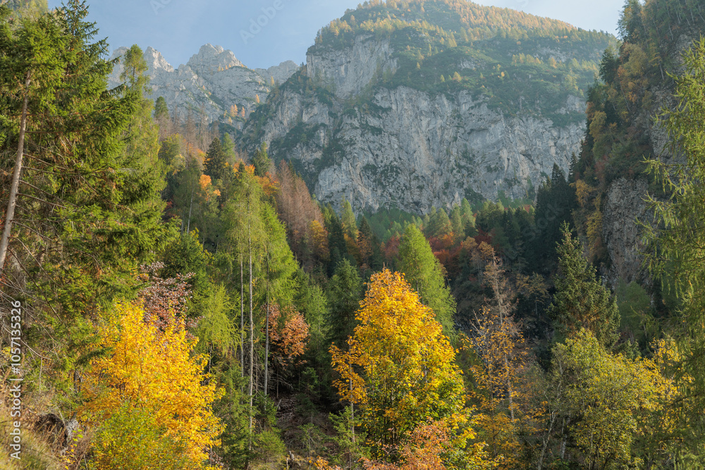 dettagli dei pendii di un'alta montagna, visti dal basso, che si estendono verso la cima, coperti da grandi alberi dai colori variabili e autunnali di una vasta foresta
