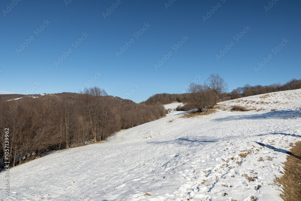 ampia vista panoramica su un ambiente naturale innevato, tra colline e montagne selvagge, nella Slovenia occidentale, di mattina, in inverno, sotto un cielo completamente sereno