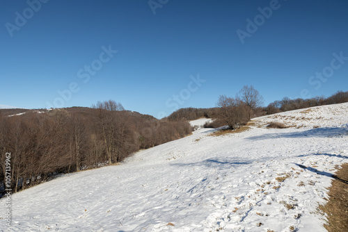 Obraz na płótnie ampia vista panoramica su un ambiente naturale innevato, tra colline e montagne selvagge, nella Slovenia occidentale, di mattina, in inverno, sotto un cielo completamente sereno w salonie