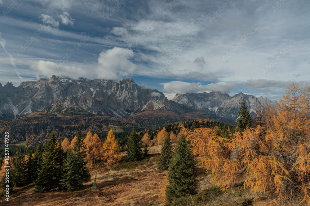 vista panoramica che si estende da un bosco di conifere vicine, in primo piano, in autunno, di mattina, verso una lunga ed alta catena montuosa distante, sotto un cielo leggermente nuvoloso, in Veneto vista panoramica che si estende da un bosco di conifere vicine, in primo piano, in autunno, di mattina, verso una lunga ed alta catena montuosa distante, sotto un cielo leggermente nuvoloso, in Veneto