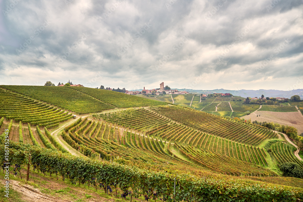 Panoramic landscape of vineyards in the rolling hills of the Langhe in Piedmont, Italy. In the background the hill with the town of Serralunga d’Alba on top. Panoramic landscape of vineyards in the rolling hills of the Langhe in Piedmont, Italy. In the background the hill with the town of Serralunga d’Alba on top.