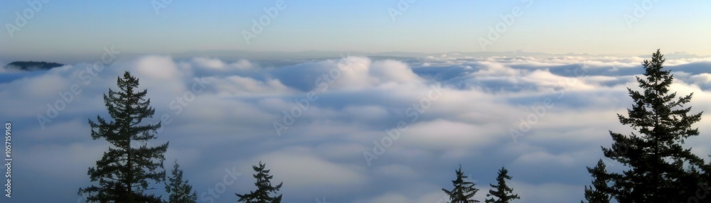 The sky is filled with clouds and the trees are visible in the distance The sky is filled with clouds and the trees are visible in the distance
