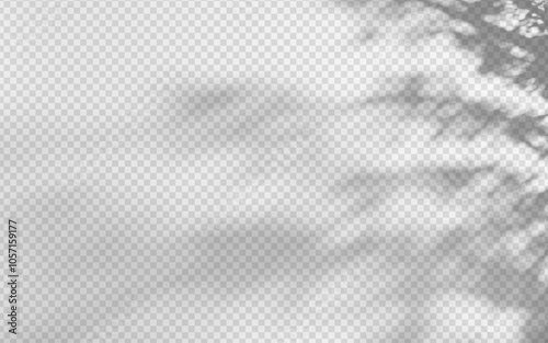 Abstract shadow overlay from foliage on a transparent background.