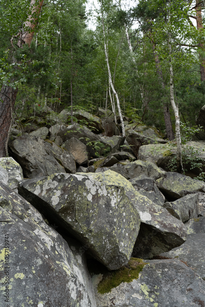 rocks in the woods rocks in the woods