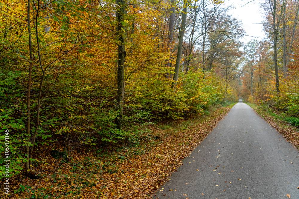Whispers of Autumn: A Symphony of Orange and Gold at Stuttgart’s Hidden Gem, Bärensee
