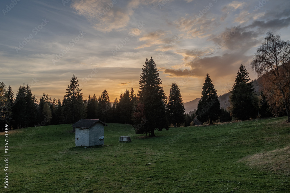 foresta scura di abeti in un ambiente di montagna nel nord Italia, in controluce, in primo piano, mentre il sole tramonta in un cielo parzialmente nuvoloso foresta scura di abeti in un ambiente di montagna nel nord Italia, in controluce, in primo piano, mentre il sole tramonta in un cielo parzialmente nuvoloso