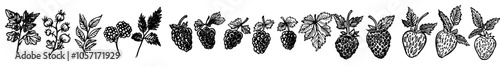Countless modern food elements. Fruit branch sketch. Hand drawn plant. Agri harvest. Retro outline nature. Goji berry and juicy strawberry. Blackberry flavor. Raspberry leaf. Different food elements