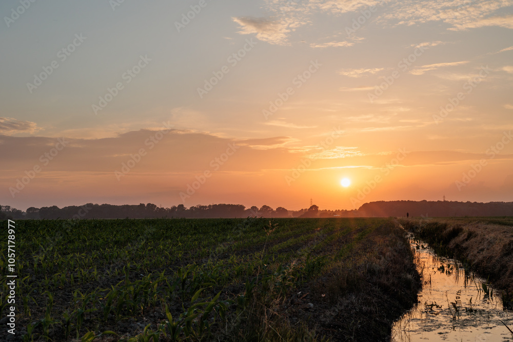 vista dettagliata del sole che tramonta all'orizzonte, visto da un ambiente naturale di campagna in pianura con campi coltivati, in primavera e cielo leggermente nuvoloso