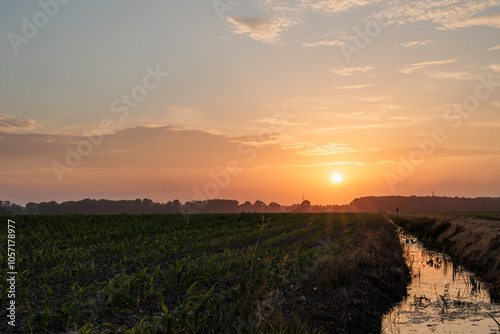 vista dettagliata del sole che tramonta all'orizzonte, visto da un ambiente naturale di campagna in pianura con campi coltivati, in primavera e cielo leggermente nuvoloso photo