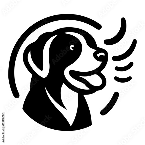 black and white dog