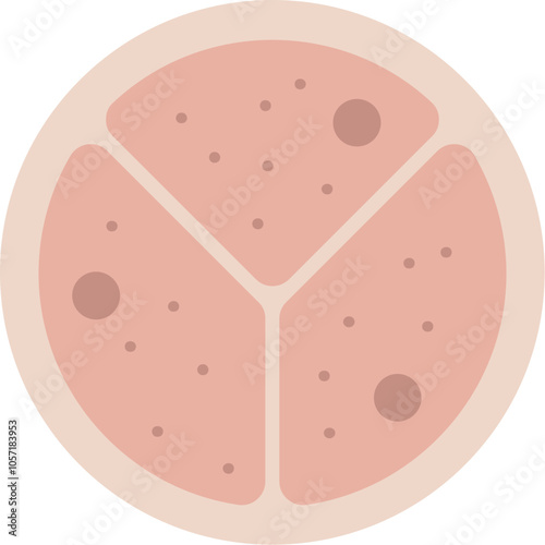 Pulmonary Valve Icon