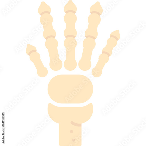 Hand Bones Icon