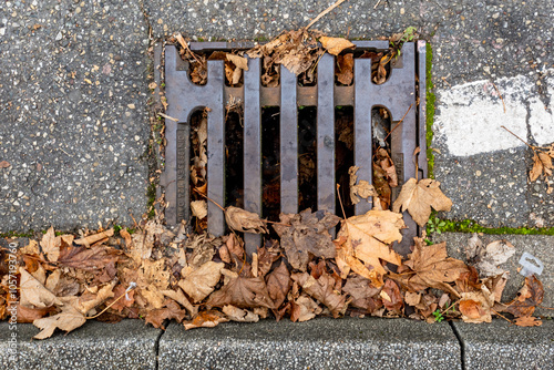 Laub verstopfter Abwasserschacht im Herbst photo